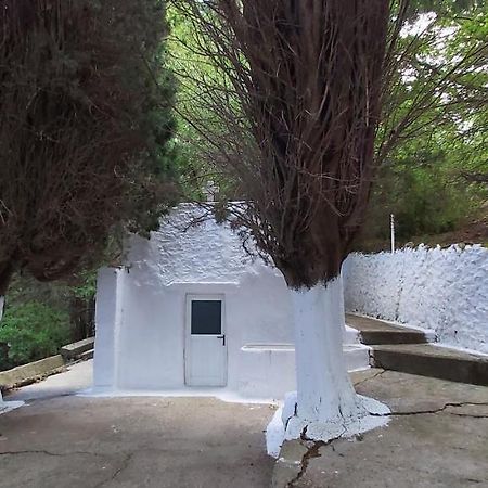 Small Traditional House In Asfendiou Kos Agios Dimitrios  Esterno foto